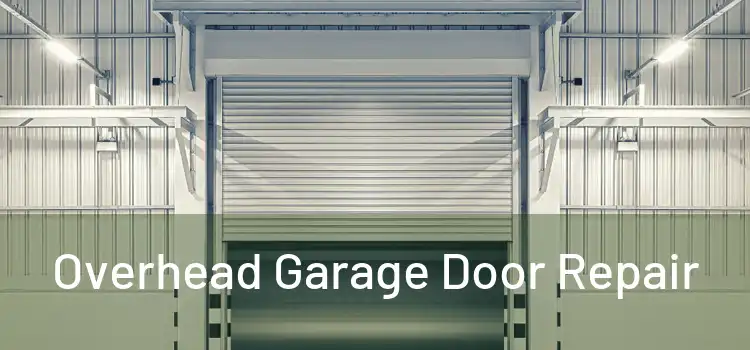  Overhead Garage Door Repair 